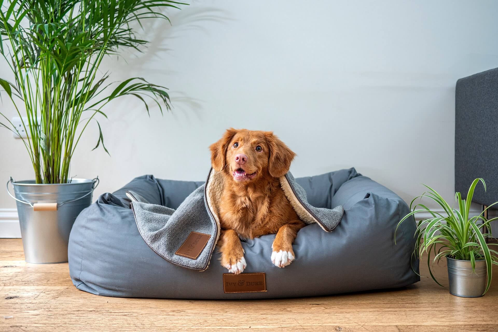 Large Dog Bed